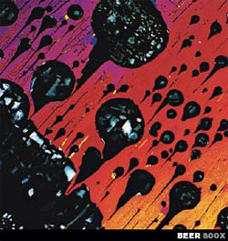 microbeer.jpg